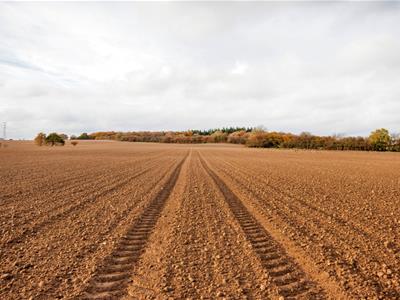 Click to view more details